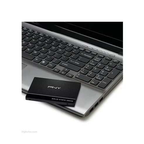 حافظه اساسدی پيانواي CS900 (ظرفيت 120 گيگابایت)