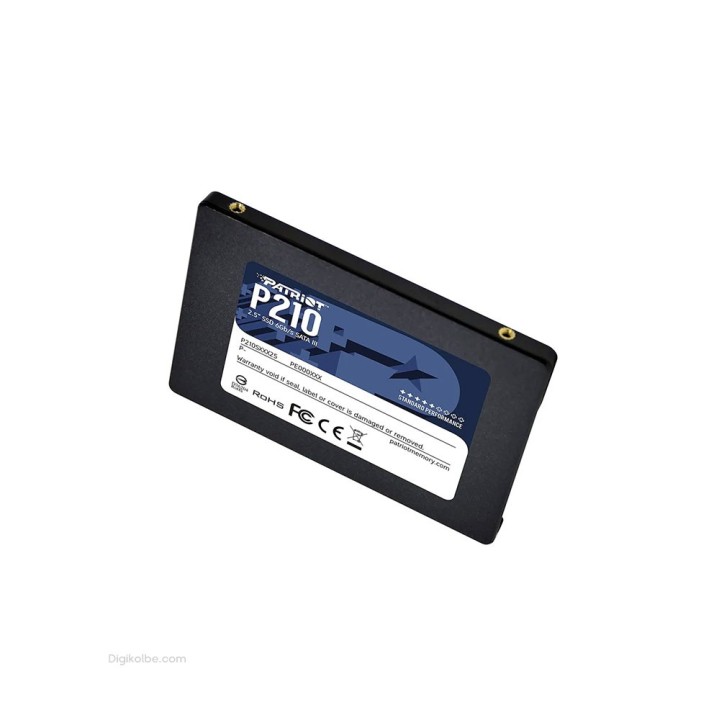 حافظه اس‌اس‌دی پتریوت P210 ( ظرفیت 256 گیگابایت )