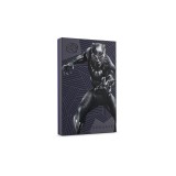 هارد اکسترنال سیگیت Panther SE FireCuda ( ظرفیت 2 ترابایت )