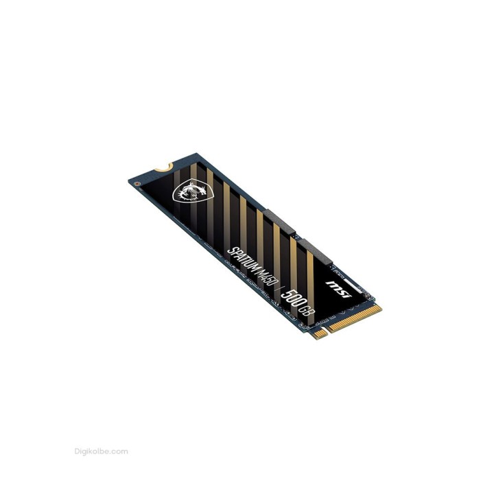 حافظه اس‌اس‌دی ام‌اس‌آی SPATIUM M450 ( ظرفیت 500 گیگابایت )
